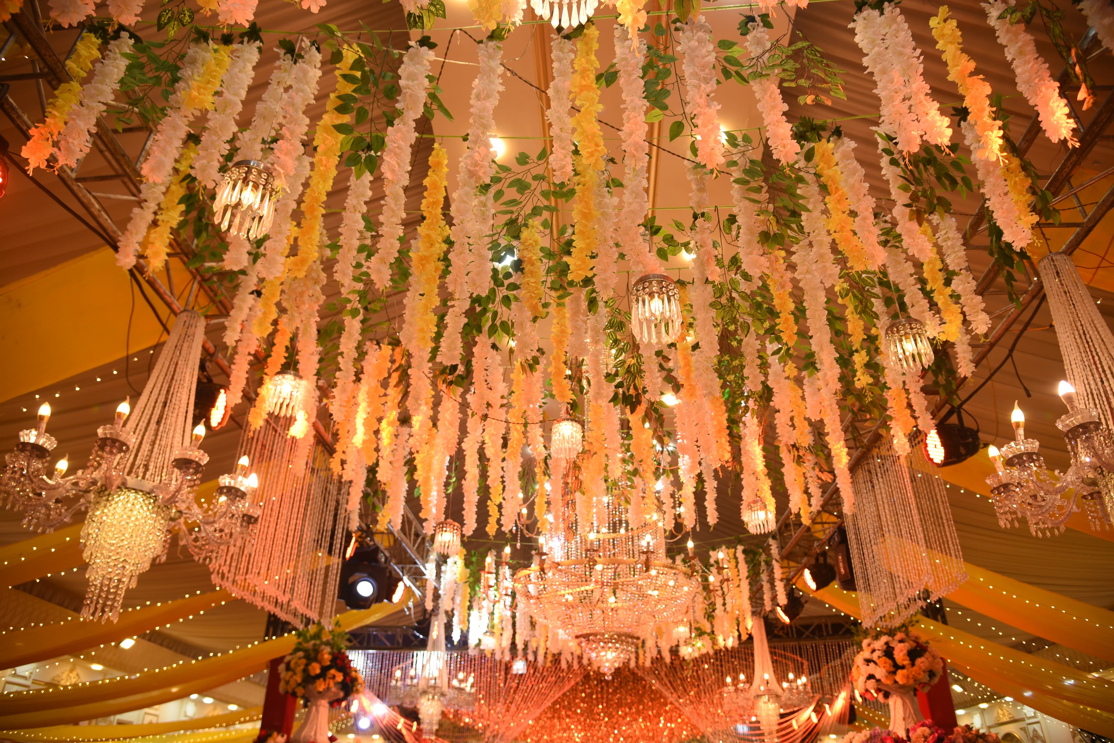 Elegant Decor